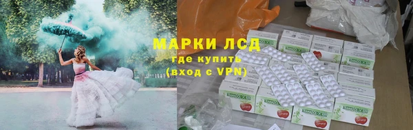 крисы Алзамай