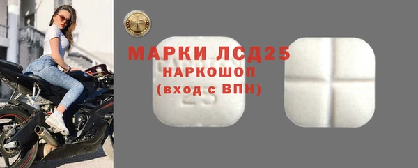 сатива Абинск