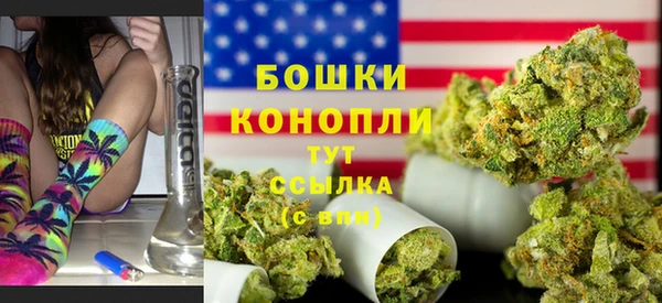 сатива Абинск