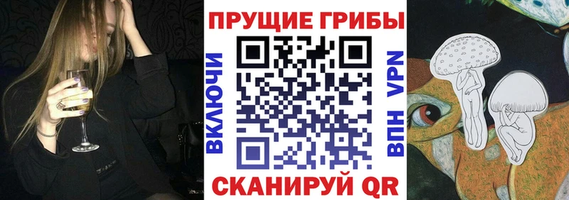 Галлюциногенные грибы Psilocybe  наркотики  Невельск 